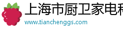 上海市厨卫家电科技有限公司 上海市厨卫家电科技有限公司